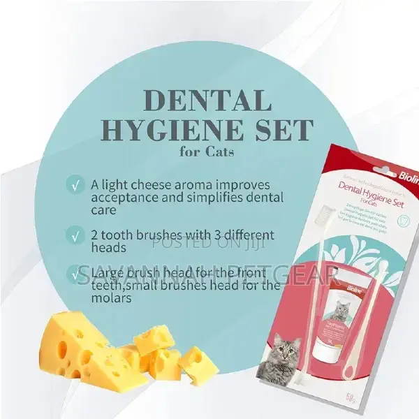 Bioline Dental Hygiene Set for Cats Toothpaste Toothbrushes