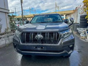 Toyota Land Cruiser Prado 2.8 2019 Gray