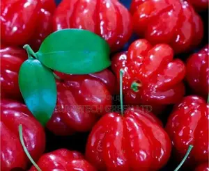 Brazilian Cherry
