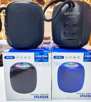 St 913 Portable Wireless Speaker - Caston Wireless