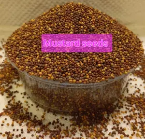 Mustard Seed Whole for Consumption.