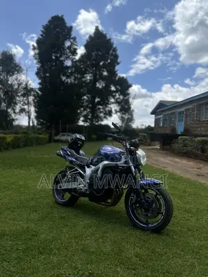 Yamaha FZ6 2005 Blue