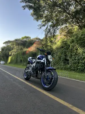 Yamaha FZ6 2005 Blue