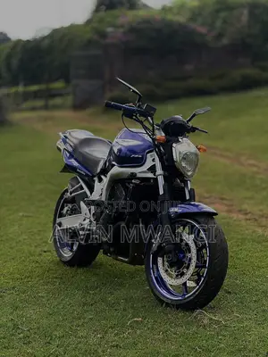 Yamaha FZ6 2005 Blue