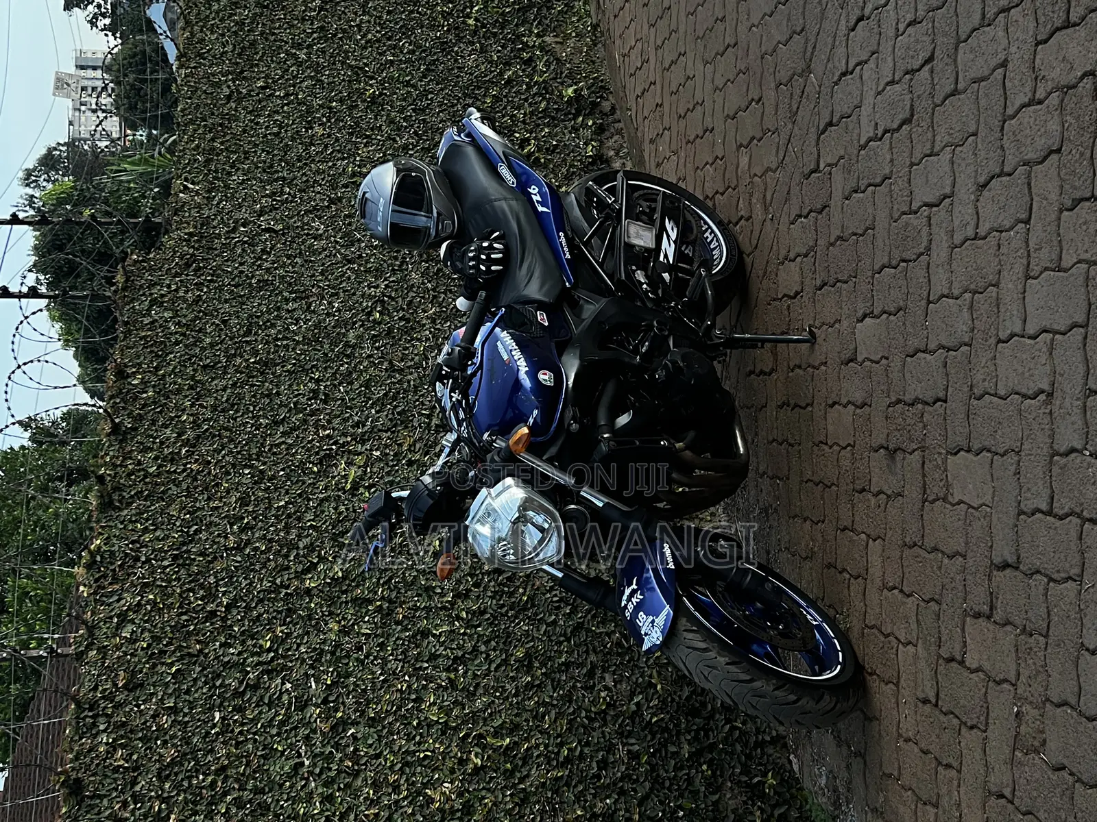 Yamaha FZ6 2005 Blue