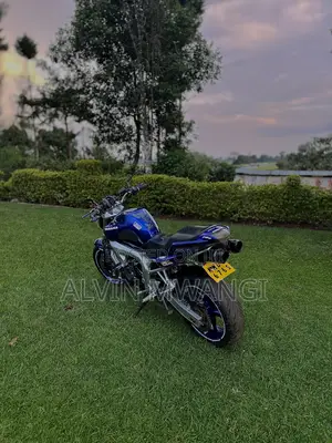 Yamaha FZ6 2005 Blue