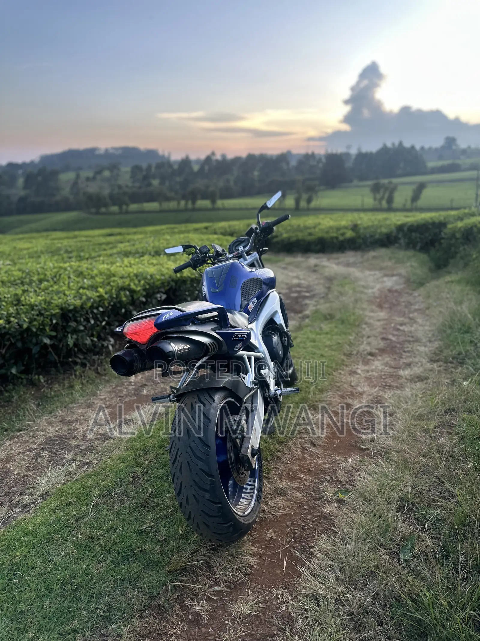 Yamaha FZ6 2005 Blue
