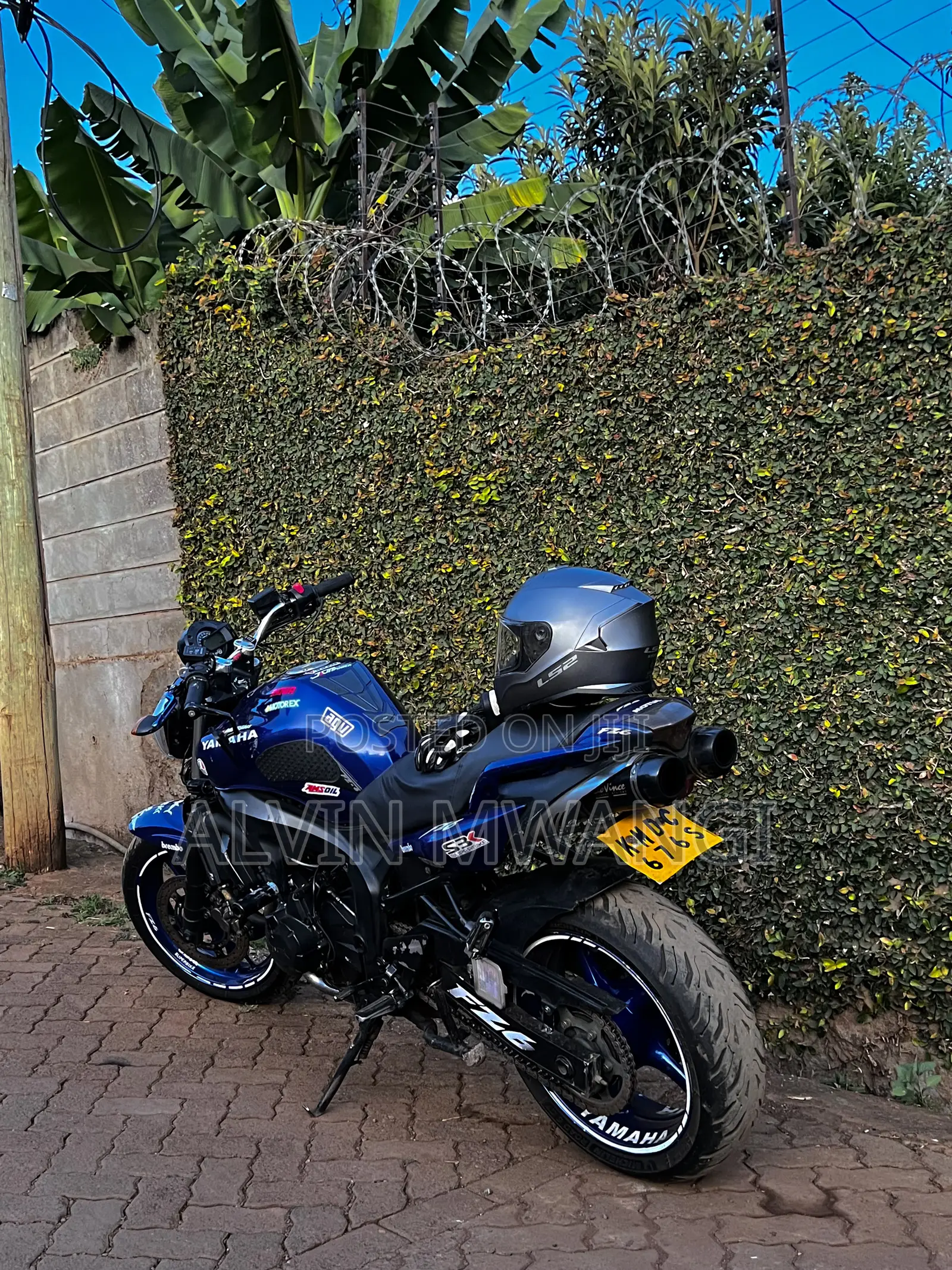Yamaha FZ6 2005 Blue