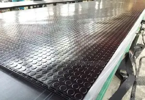 Durable Coin-Style Carpets