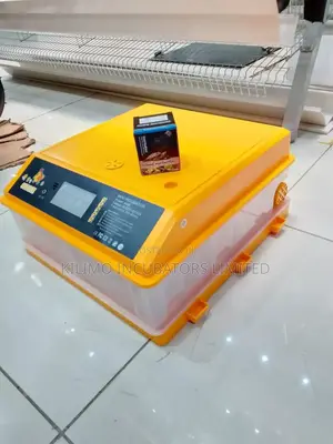 64 Eggs Incubator