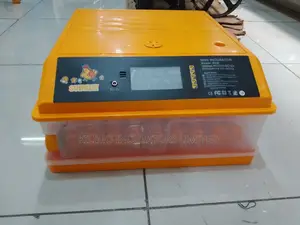 64 Eggs Incubator