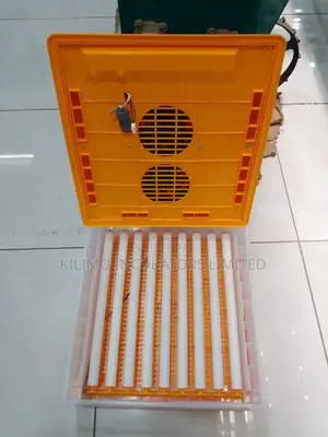 64 Eggs Incubator