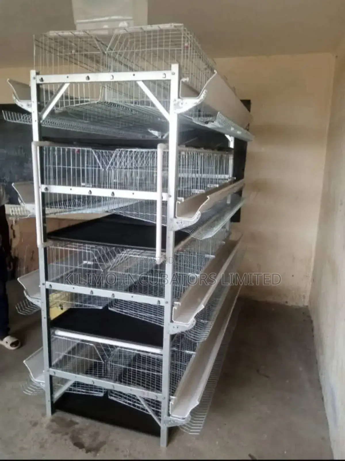 Chicken Cage H-Type