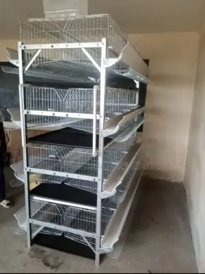 Chicken Cage H-Type