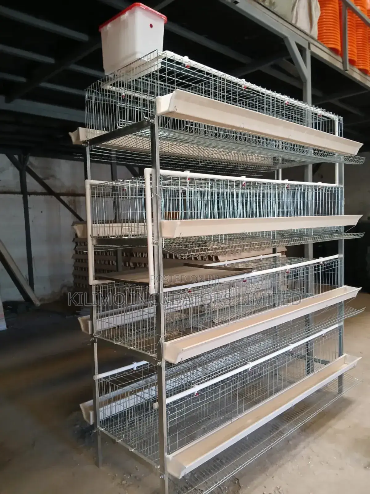 Chicken Cage H-Type