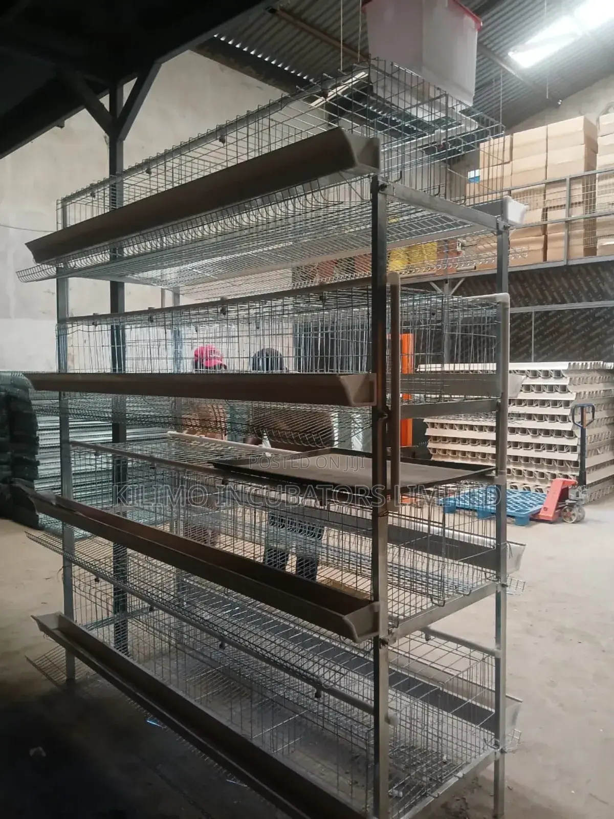 Chicken Cage H-Type