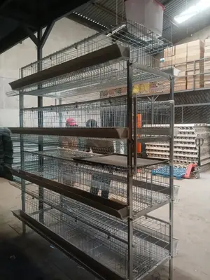 Chicken Cage H-Type