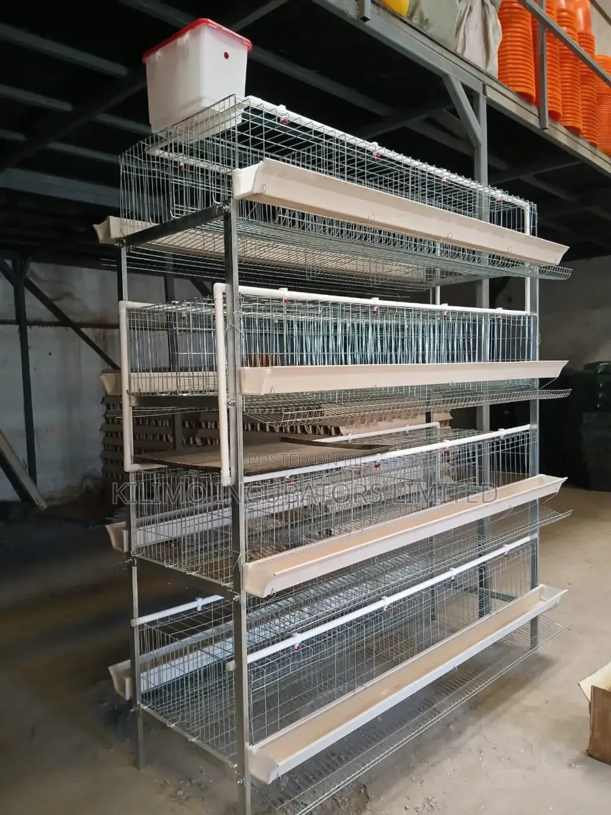 Chicken Cage H-Type