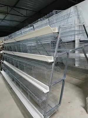 Chicken Cages a-Type 128 Birds Holds