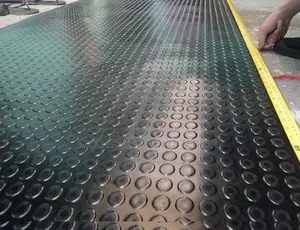 Anti-Skid Coin Carpets