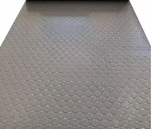 Bold Elegant Coin Carpets
