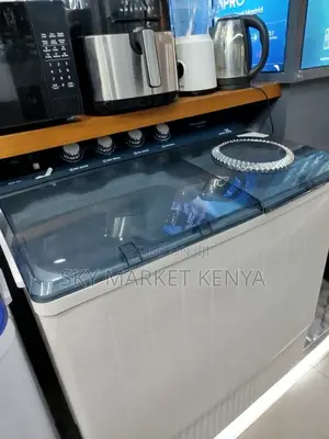 Hisense 20kg Wsbe201 Twin Tub Washing Machine