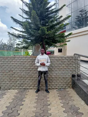Housekeeping Cleaning CV