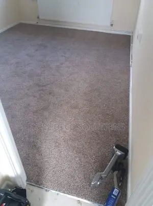 Elegant Thick Wall to Wall Carpet for Homes and Office