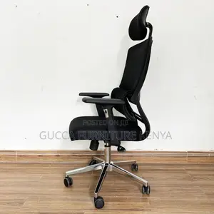 Office Chairs: Mesh Chair With Anti-Fatigue Spine Support