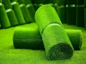 Indoor Outdoor Grass Carpets