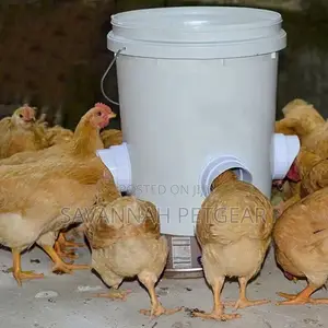 Automatic Poultry Feeder Rain Proof Poultry Gravity Feeders