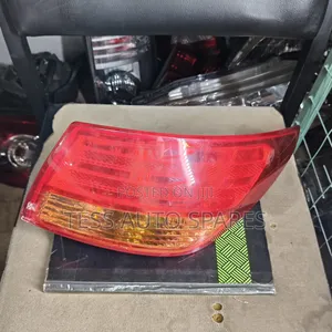Nissan Sylphy N17 Backlight