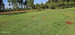 Plots for Sale in Annex Bethel Eldoret