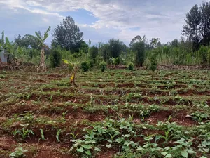 Half Acre in Kabati Kenol