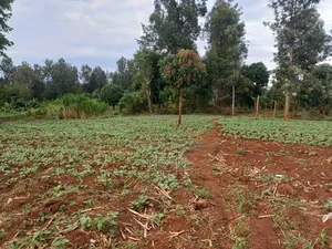 Half Acre in Kabati Kenol