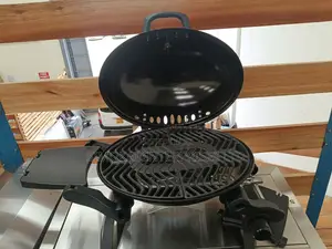 Deluxe Foldable Portable Gas Barbecue