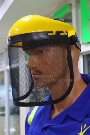 Face Shield Mesh Visor