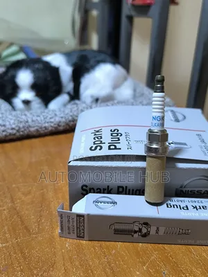Nissan Dilka6a11 NGK Spark Plugs