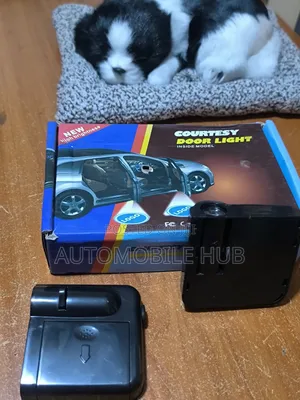 Toyota Ghost Light - Toyota Door Lights