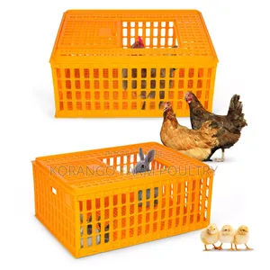 Poultry Xages