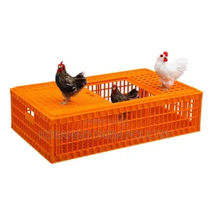 Chicken Transport Crate