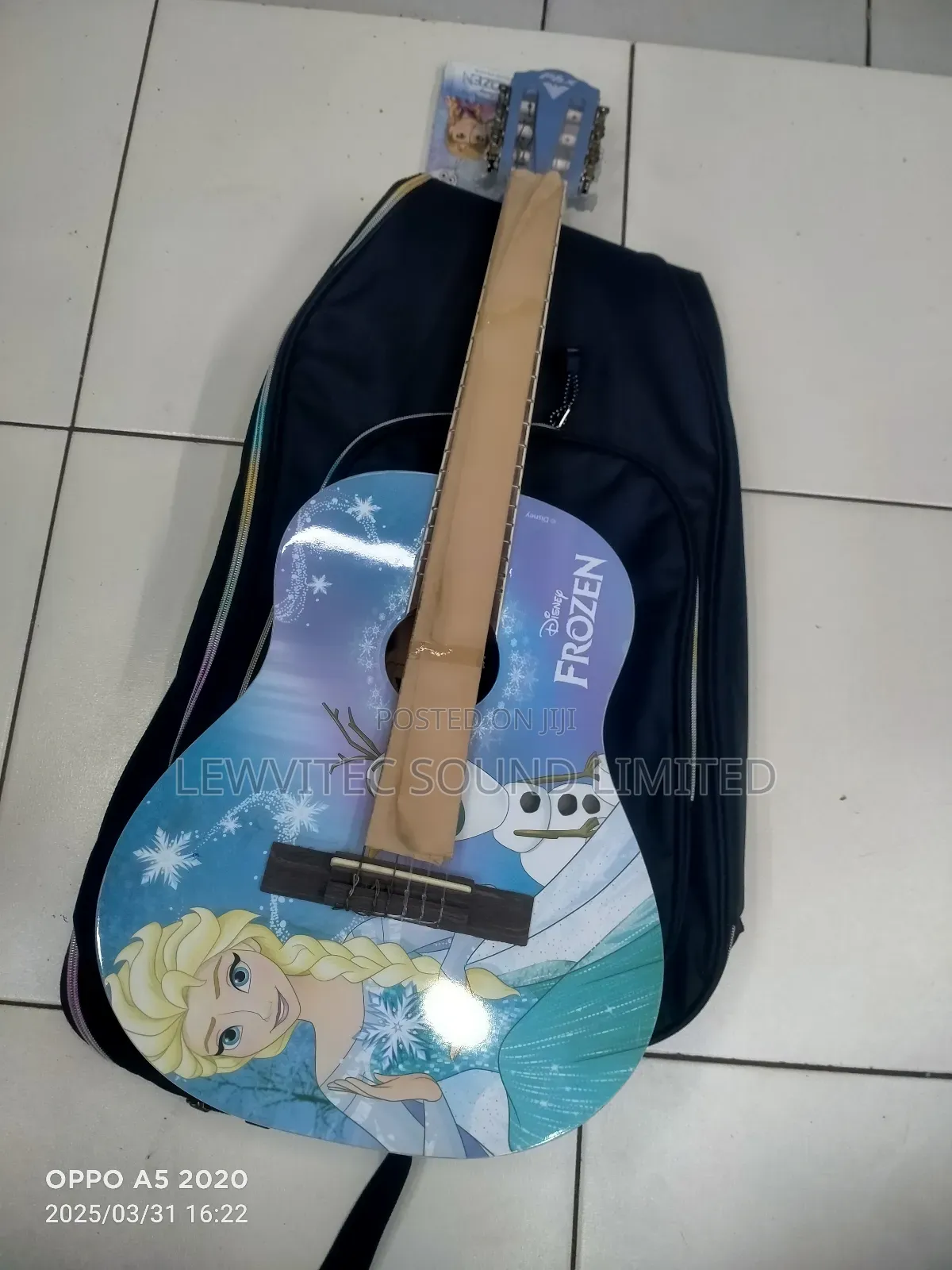 Frozen Classical Guitar