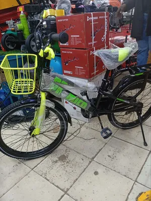 Three Gun Bicycle Size 20 With Unisex Color