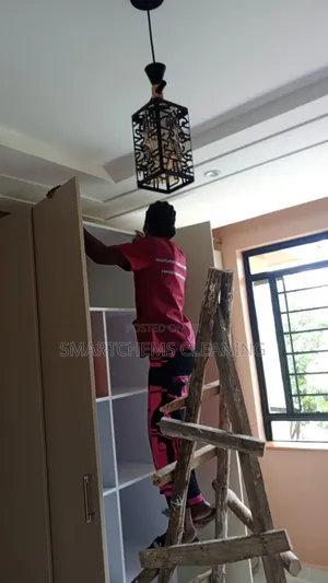 Cleaning Services in Hardy Karen