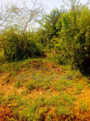50*100 Plot at Thaitha Machakos