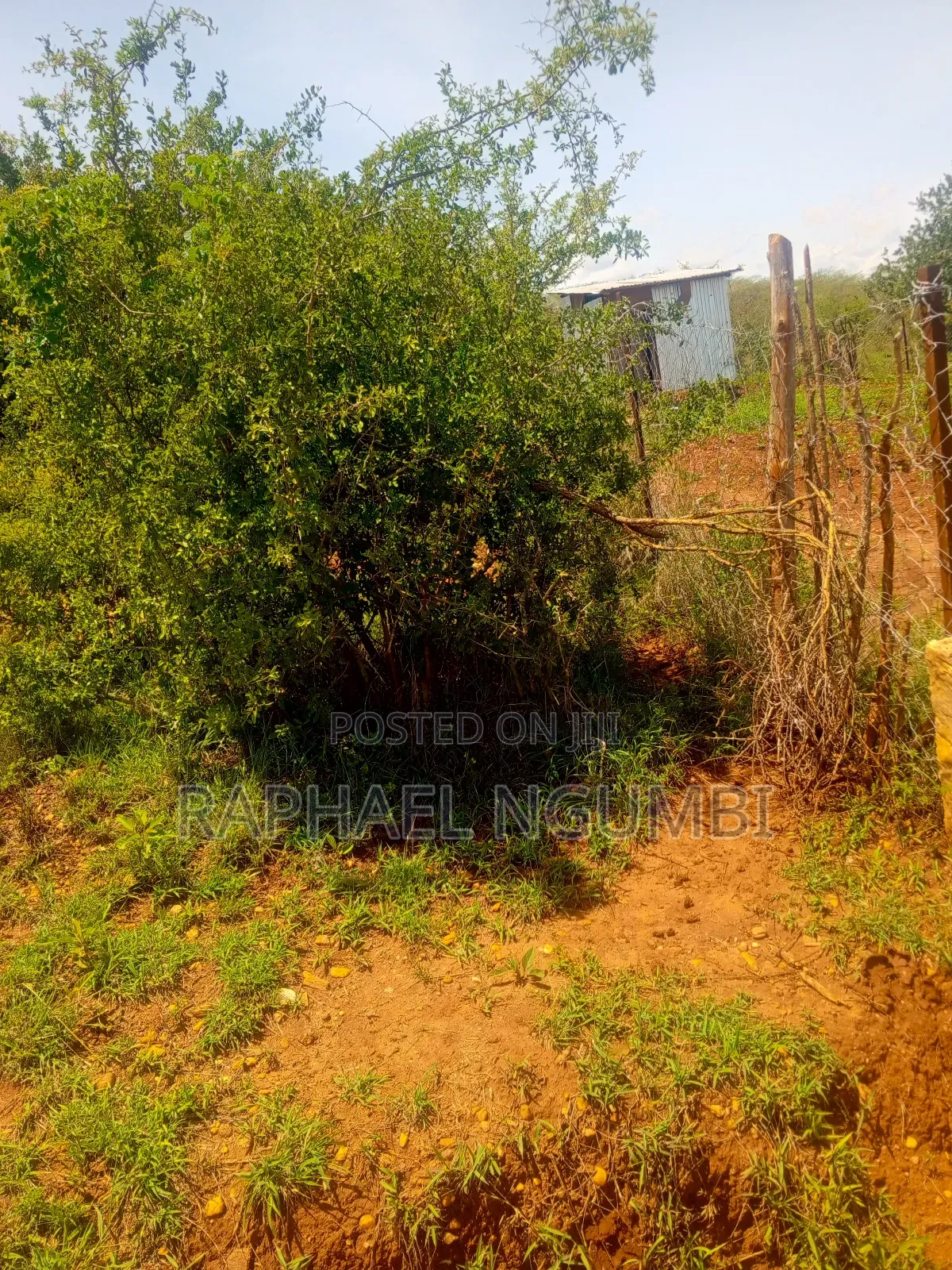 50*100 Plot at Thaitha Machakos