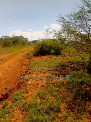 50*100 Plot at Thaitha Machakos