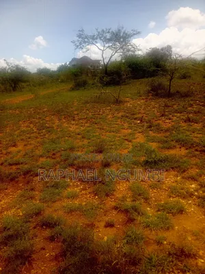 50*100 Plot at Thaitha Machakos