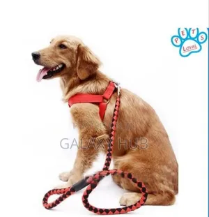 Dog Leash / Harness With Collar
✅Complete Set