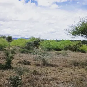 Land for Sale in Konza